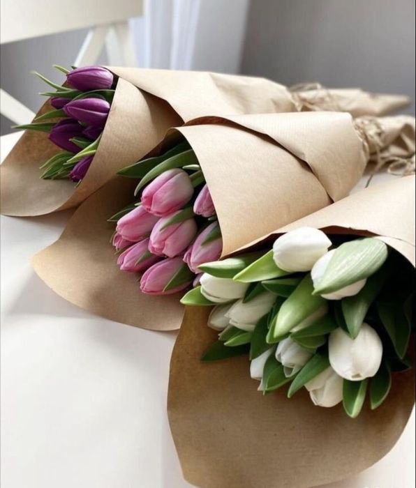 Тюльпаны Голландские