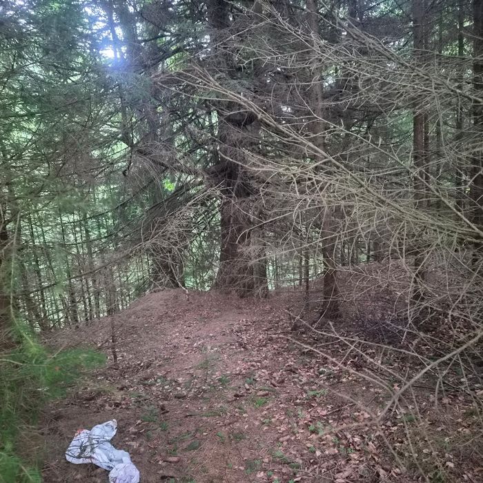 Teren de vanzare in Râusor