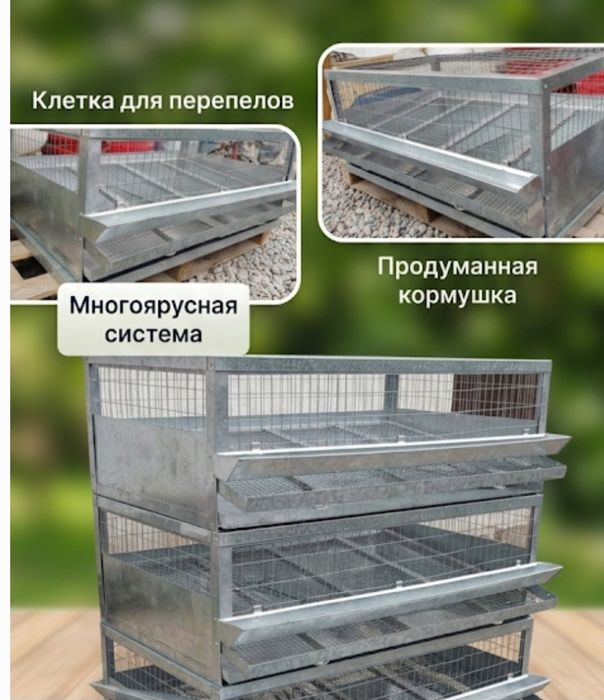 Клетки для пепепелов