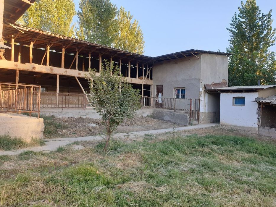 Srocno uchastka sotiladi 50 sotix