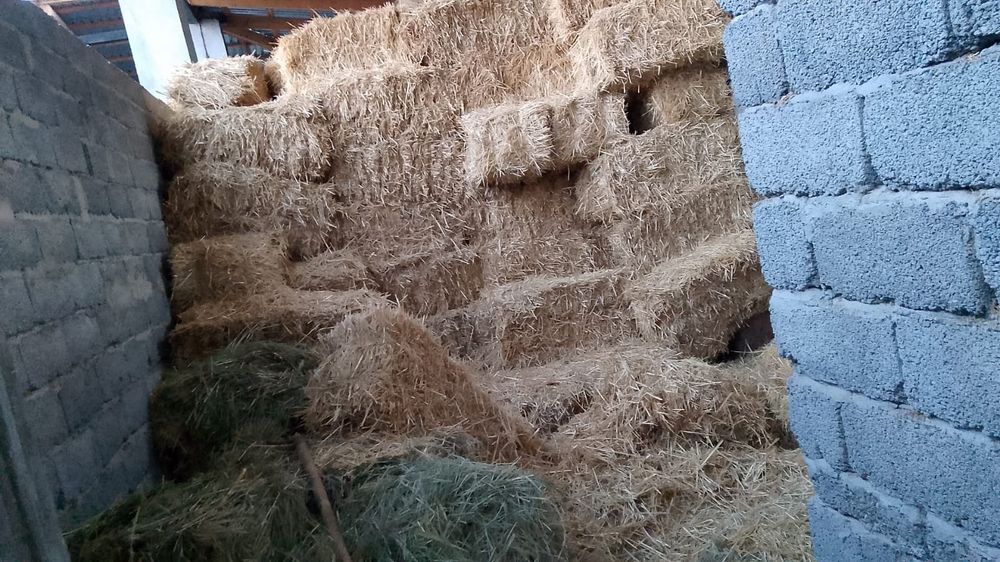 Продаётся Салома Пресс