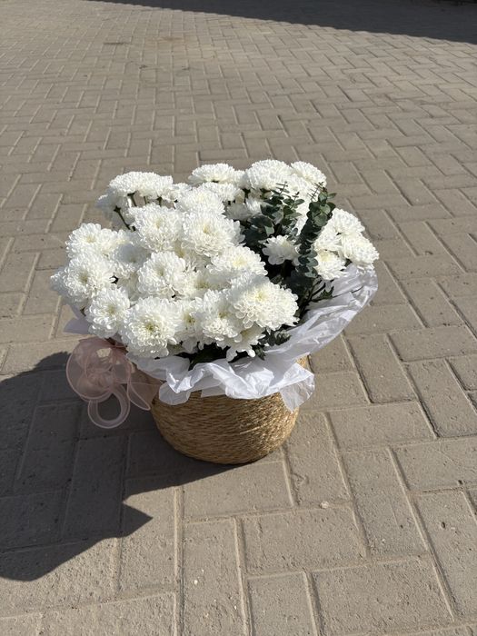 продам свежие цветы