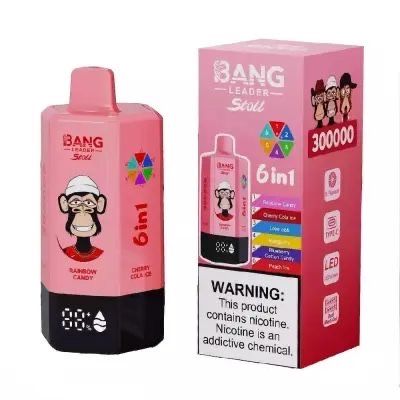 Beang Leader 300k puffs 6in1 EXCLUSIV‼️