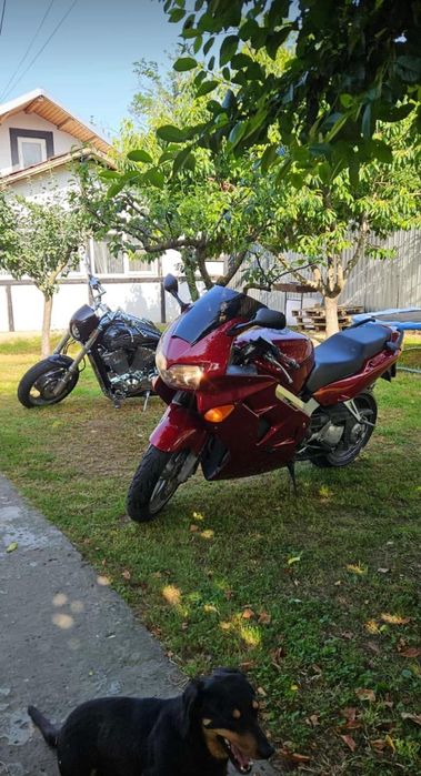 Honda vfr 800 întreținută!