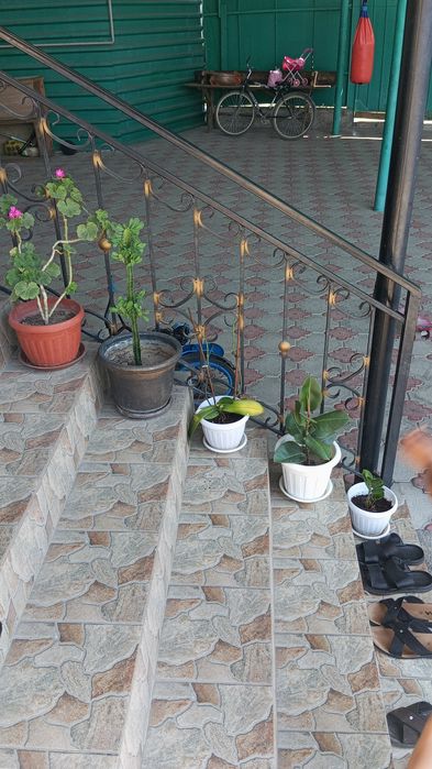 Продажа цветов..