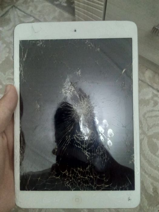 Старый ipad. pro