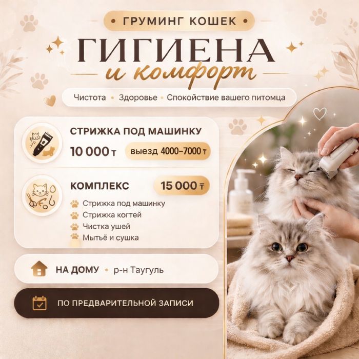 Стрижка  кошек на выезд