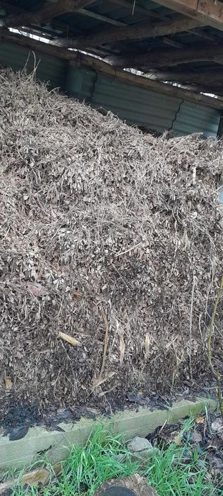 Мол учун ерёонгок ва хашак