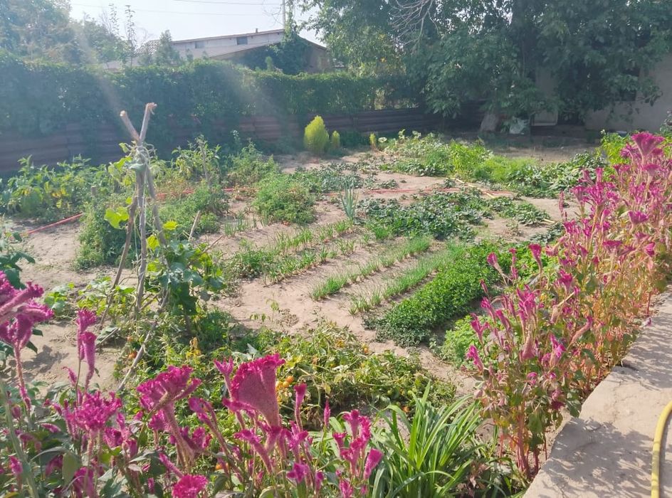 Продам дачу ,в хорошем состоянии