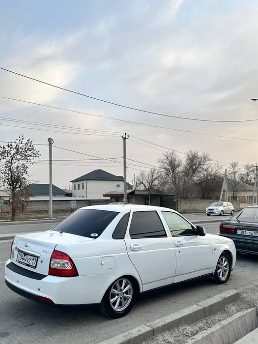 Атика торус торес аттика