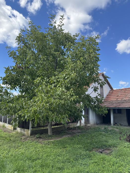 Vand casa in Told, Ungaria