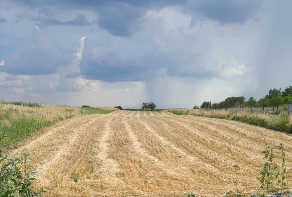 Teren extravilan  Poiana Mare Dolj