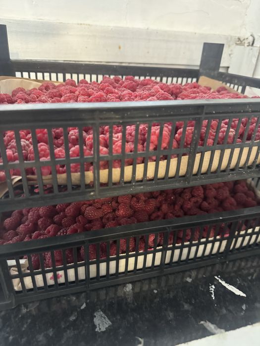 Продам малину район Жагалау