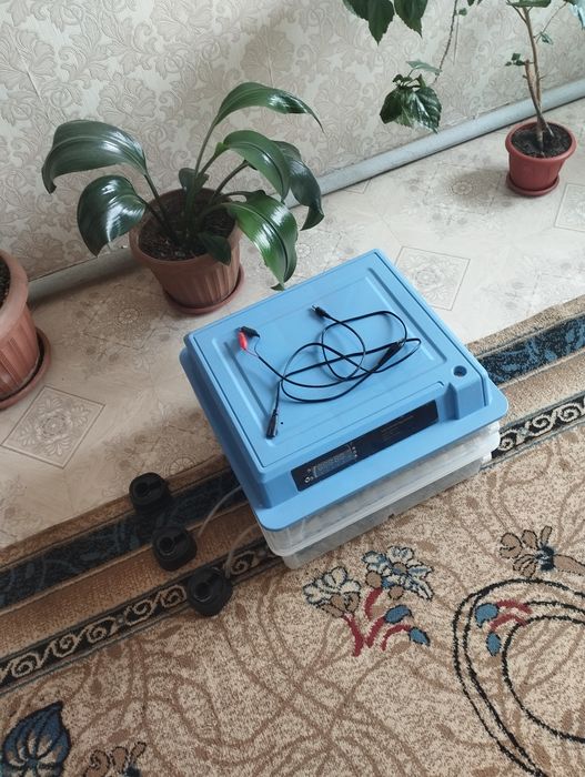 Инкубатор автоматический