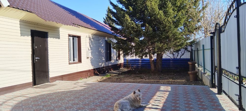 Продам дом в городе риддер