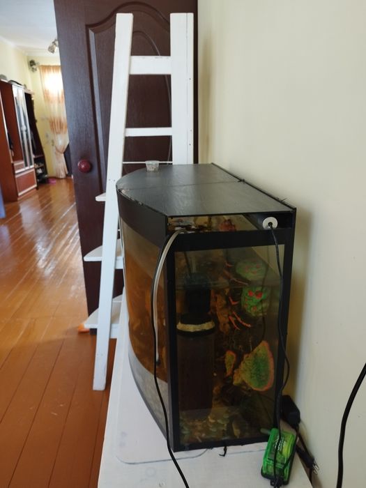 Аквариум 100 литров