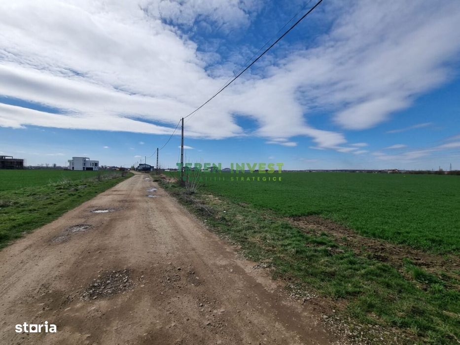 Teren 10.000 mp de vânzare – Balotești – PUZ locuințe