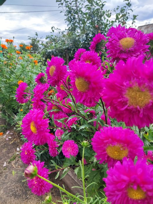 Продам дачу с баней в  СТ  Борки