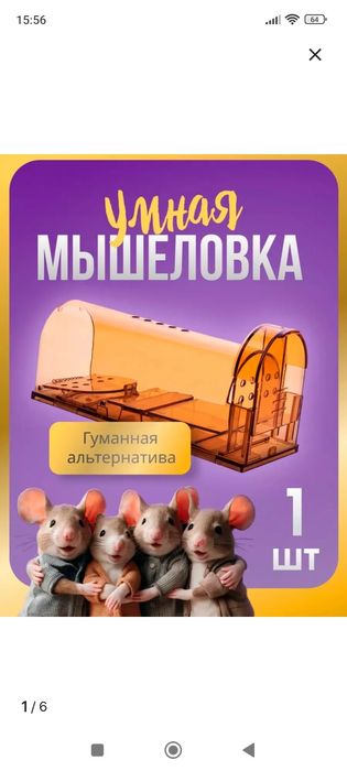 Продается гуманная мышеловка.