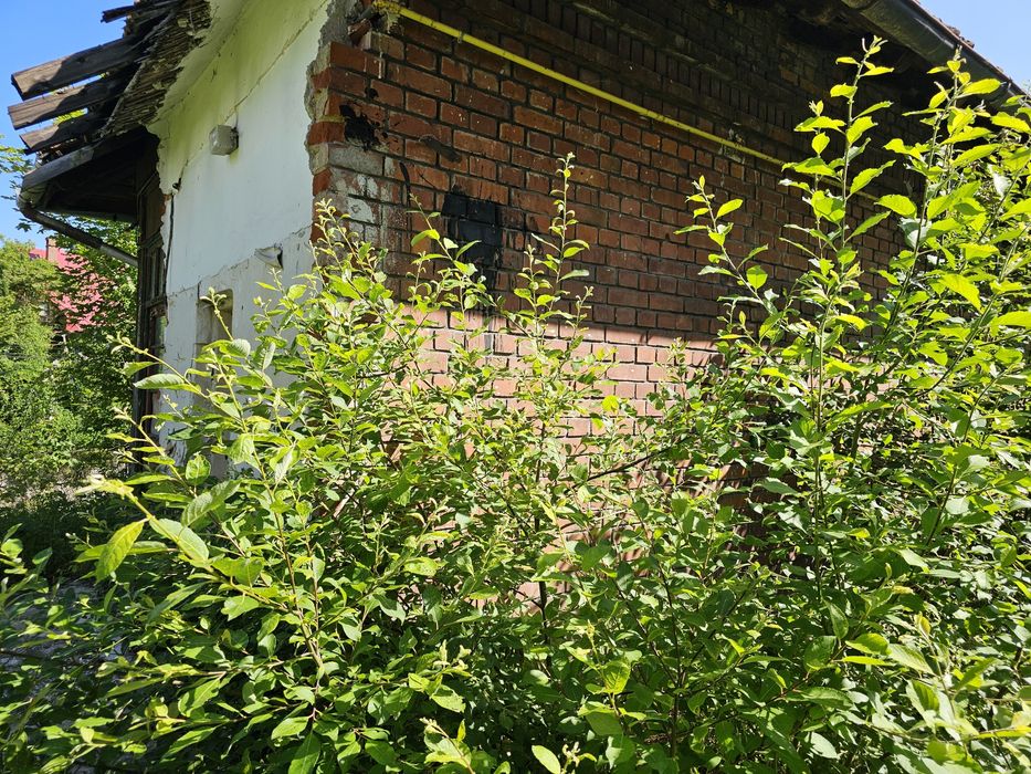 Teren+casa de vanzare Busteni Jud Prahova