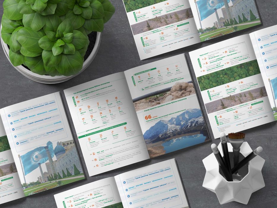 Аналитическая инфографика и профессиональный дизайн журналов и книг