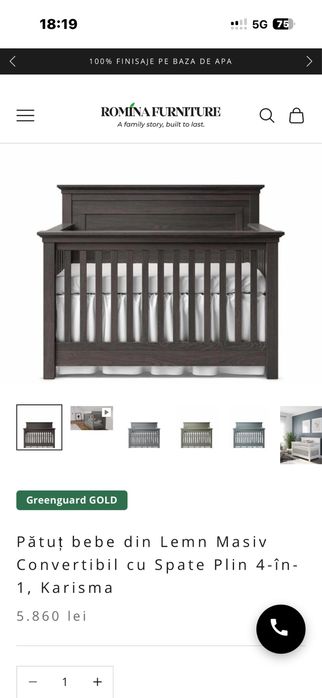 Pat Romina Furniture