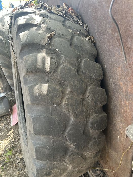 Продаю шины от трактора