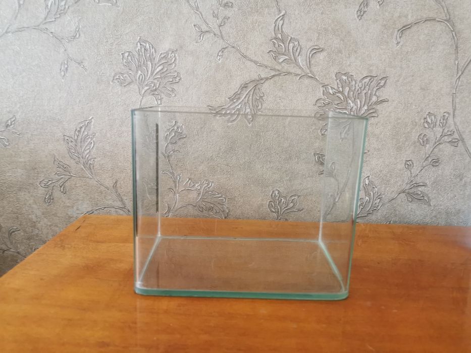 Аквариум миниатюрный