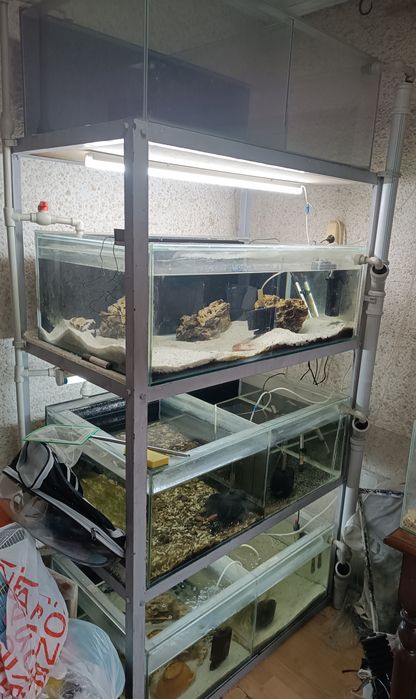Стойки с аквариумами