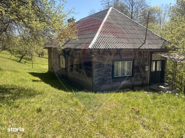 Casa traditionala,teren 6.039 mp DESESTI Maramures