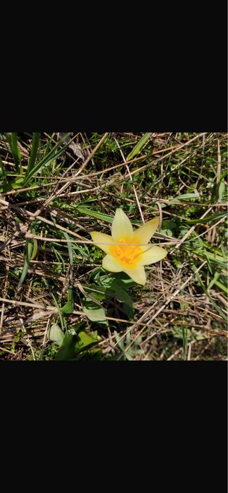 Продается зем.участок