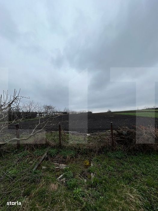 Casa din caramida, cu teren 5810 mp - Calinesti