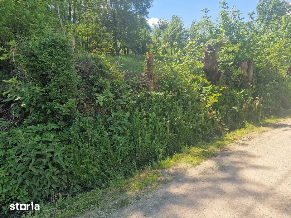 teren Comarnic, 3200 m2, zona Poiana