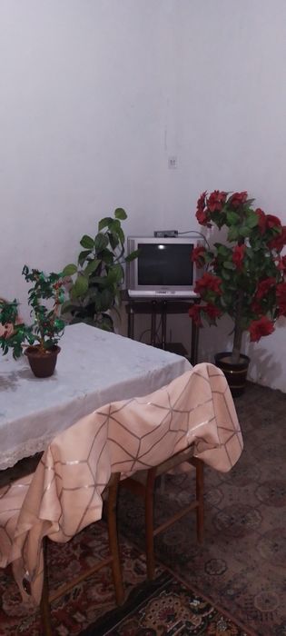 Ijaraga hovli 4 sotix