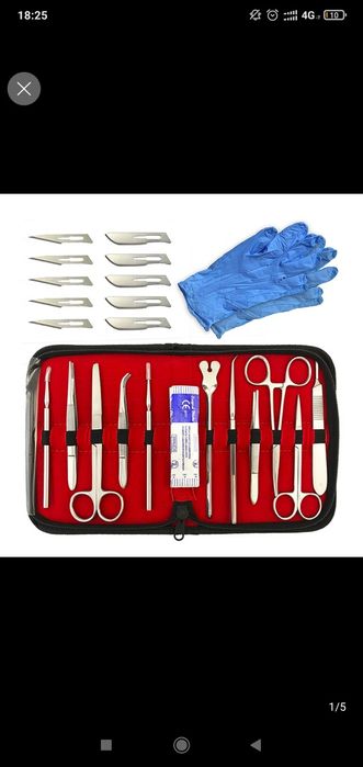 Анатомическая муляж человека или органа человека доставка из Китая