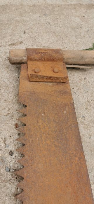 100 годишна джага / трион за дърва