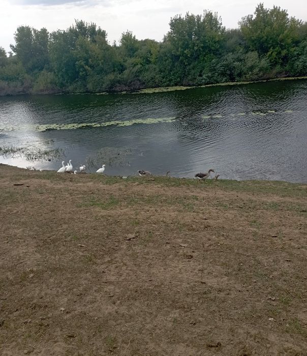 Продам земельный участок