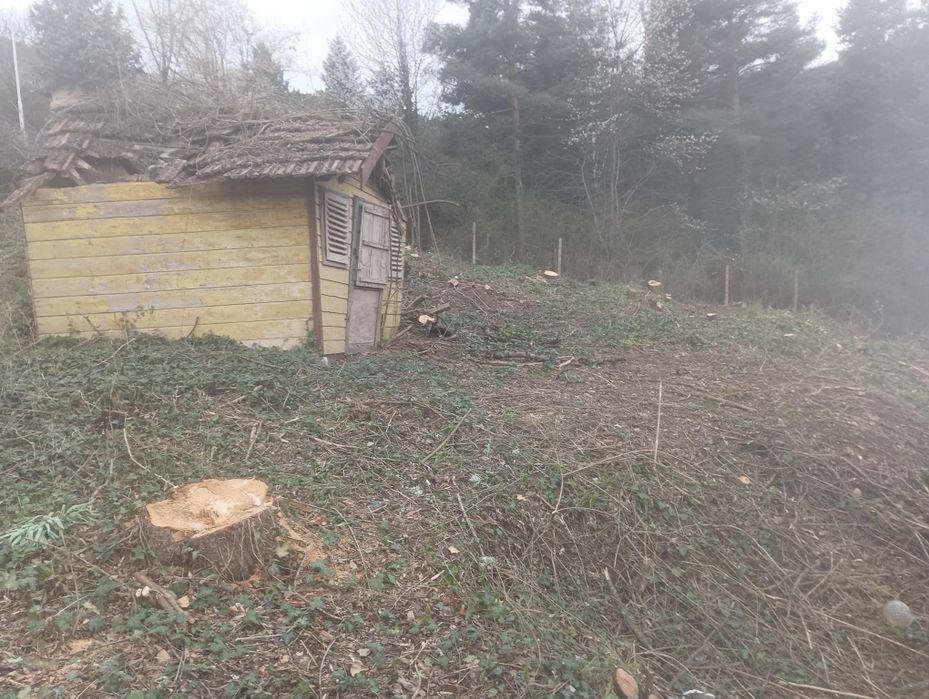 Почистване на парцели имоти дворове