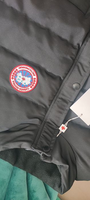 Vesta Canada Goose
