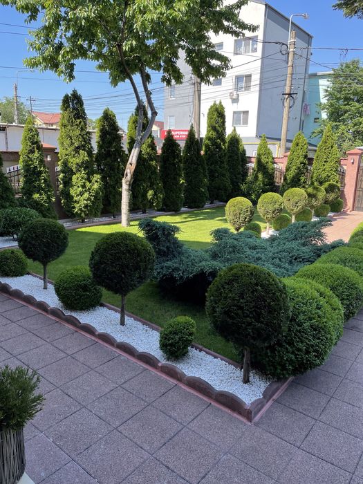 Amenajari spati verzi , intretinere si ingrijire Gradini !!!