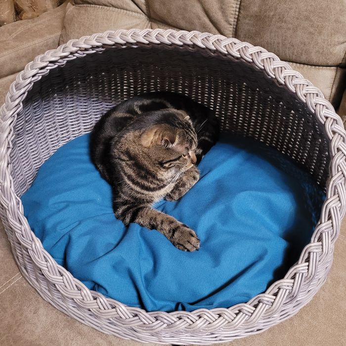 Лежанка для животных