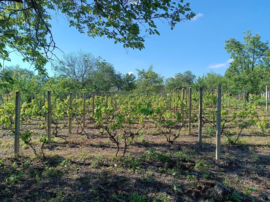 Продава се Къща в Русе, Долапите - 1100 кв.м за 26 €/кв.м - Снимка #14