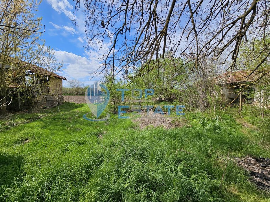 Голям парцел със стара къща в с. Драгомирово