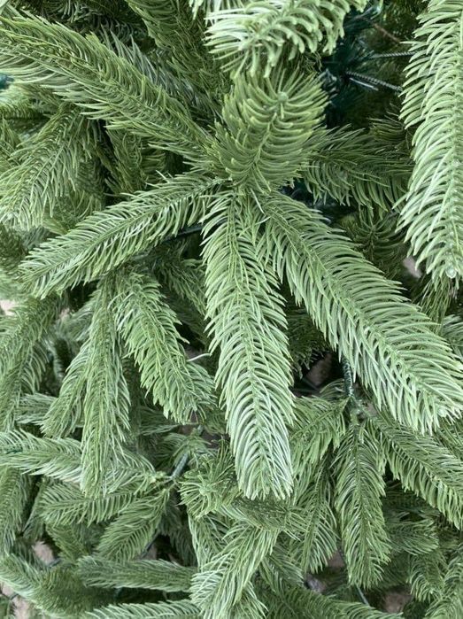 Ёлка высшего качества по низким ценам