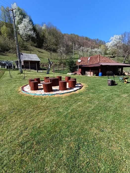 Casa cu teren. Munteni