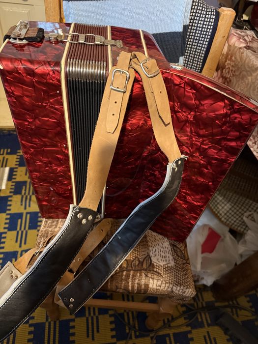 Acordeon nemțesc Cantulia