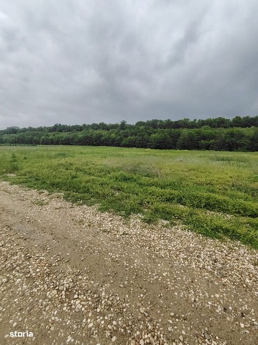 Teren intravilan - 860 mp - Deschidere 20 mp - Ciocani - Crevedia