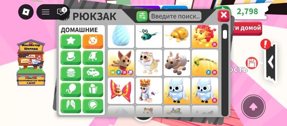 Продам петов в адопт