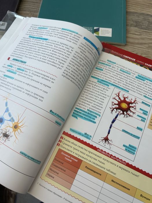 Учебници за 8 клас