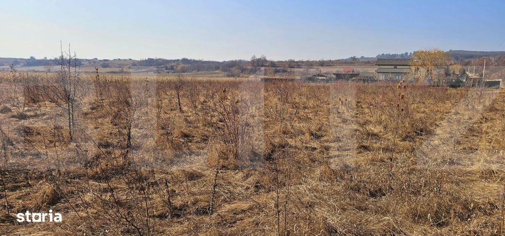 Teren intravilan 1558 mp cu PUZ – zona Szalomer